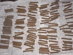 गाईको गोबरबाट धुपबत्ती र दियो 